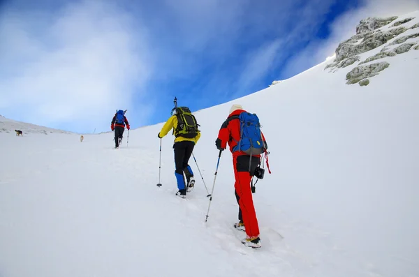 Caminhadas de inverno — Fotografia de Stock