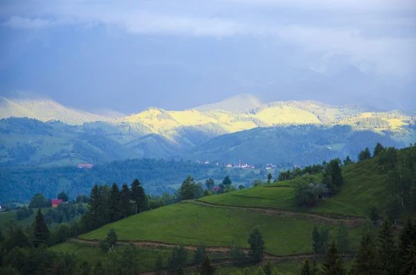 Green field mountain landscape — Stockfoto