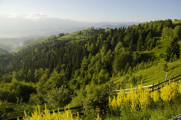 Green field mountain landscape — Stockfoto