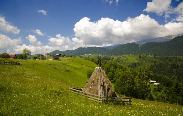 Зелене поле гірський пейзаж — стокове фото