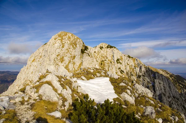 Spring mountain landscape — Stock Photo, Image