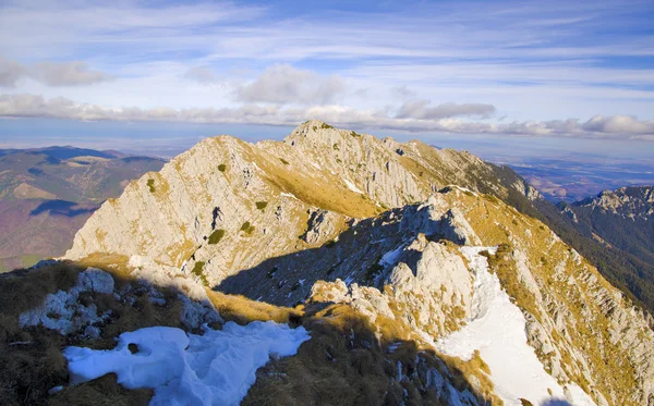 Spring mountain landscape — Stock Photo, Image