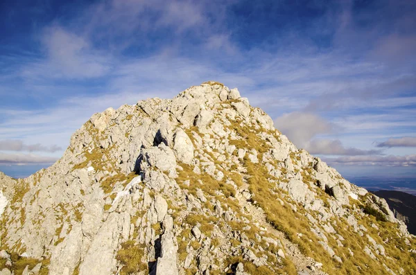 Spring mountain landscape — Stock Photo, Image