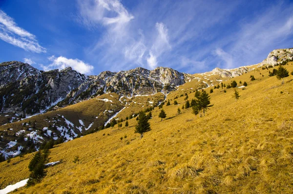 Spring mountain landscape — Stock Photo, Image