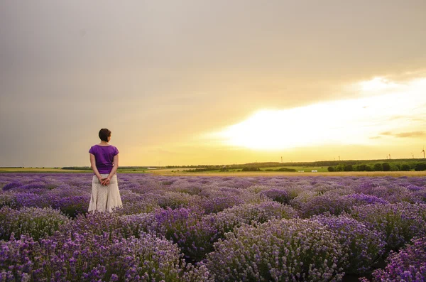 Menina em um campo de lavanda . — Fotografia de Stock