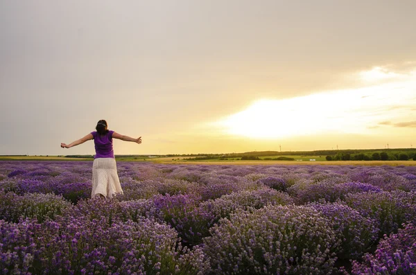 Menina em um campo de lavanda . — Fotografia de Stock