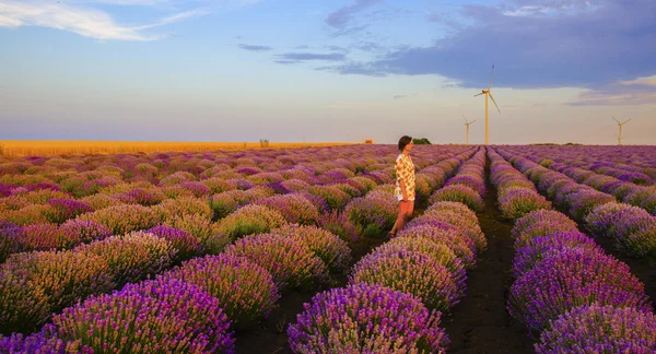 Chica caminando en un campo de lavanda durante la puesta del sol — Foto de Stock