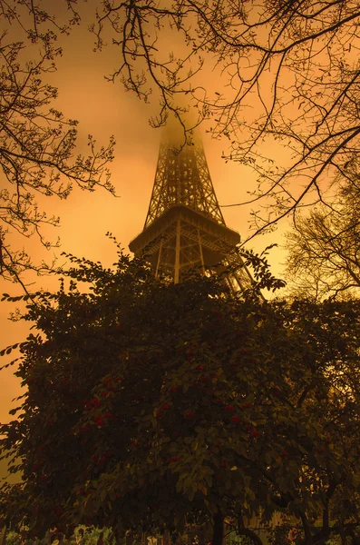 Eiffel Tower and colored trees at sunset — Stock Photo, Image