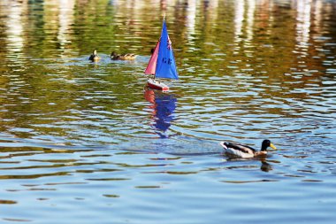 Fotoğraf: Saf suda hızla yelken açan yalnız oyuncak tekne teması