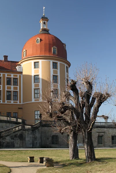 Le château de Moritzburg — Photo