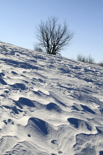 雪の平野の風によって吹き飛ばさ — ストック写真