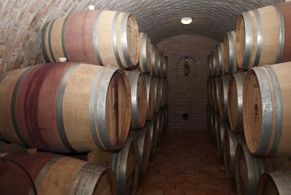 Wine Cellar