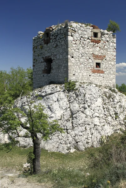 Artillery Tower of Devicky Castle — Stock Photo, Image