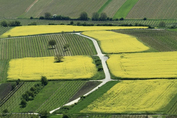 çiftlik manzara yukarıdan