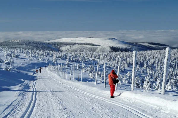 Paisagem de Inverno de Jeseniky — Fotografia de Stock