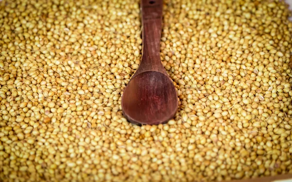 Organic Dried coriander seeds (Coriandrum sativum) in wooden bowls with spoon,dry coriander seeds in spoon,selective focus on subject,dried coriander seed bowl