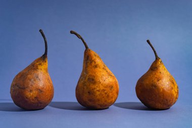 Modaya uygun bir turkuaz arka planda çok olgun bir armut deseni. Yukarıdan görüntüle.