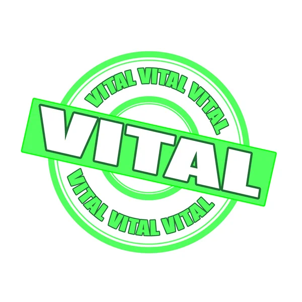 Vital —  Vetores de Stock