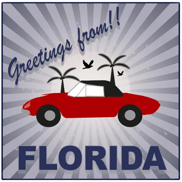 Greetings from florida background — Stock Vector