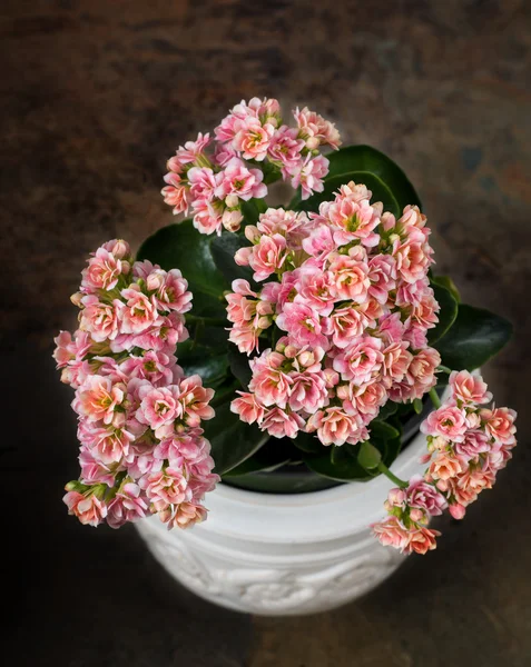 Beyaz bir tencerede çok renkli aranjmani