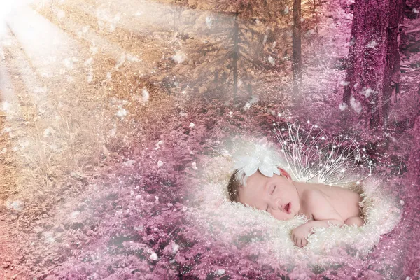 büyülü bir orman içinde uyuyan güzel kanatlı bebek