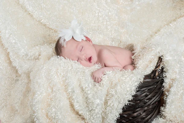 Dormindo bebê menina em uma cesta — Fotografia de Stock