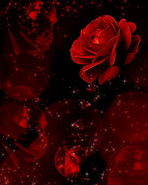 kırmızı gül kristaller damlayan