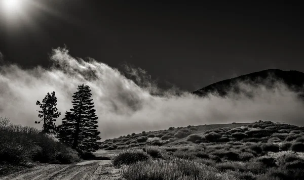 Road into the clouds in Wrightwood California — Stock Photo, Image