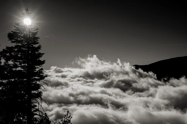 Walking on clouds — Stock Photo, Image