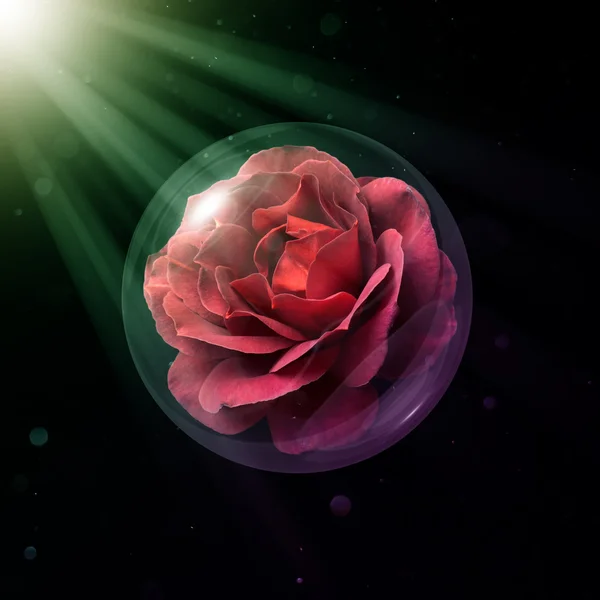 sıcak kakao gül cam Küre