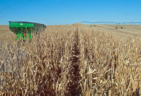 combine görüntülemek