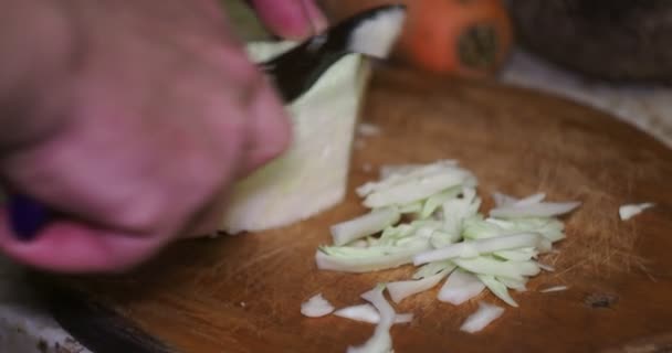 Asya Mutfağı Vejetaryenlik Aşçı Kesme Tahtasındaki Bir Bıçakla Lahana Keser — Stok video