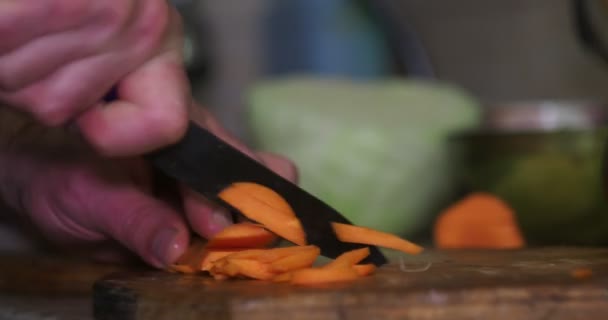 Cuisine Asiatique Plats Simples Les Mains Cuisinier Tranchant Les Carottes — Video