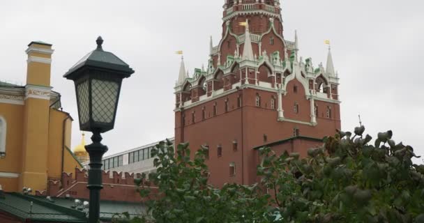 Moscovo Uma Lanterna Aço Poste Parque Outono Contra Fundo Torre — Vídeo de Stock