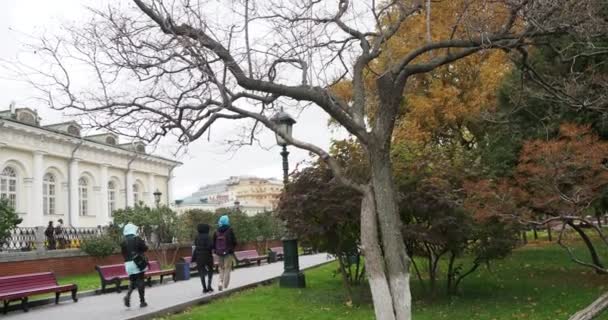 Moskva Rusko Říjen 2021 Město Lidé Procházejí Uličkami Podzimního Parku — Stock video