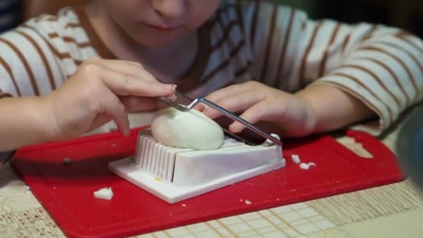 아이들 어린아이는 커터칼을 사용하여 달걀을 처음으로 자르려고 클로즈업 — 비디오