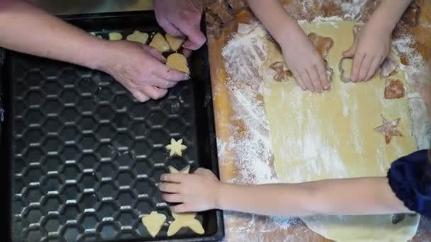 Home Cooking Hands Woman Small Children Whom She Teaches Make — Stock Video