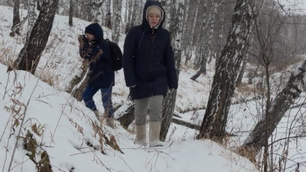Εποχές Χειμώνας Ένας Νεαρός Ζεστά Ντυμένος Άνδρας Και Γυναίκα Περπατήσει — Αρχείο Βίντεο