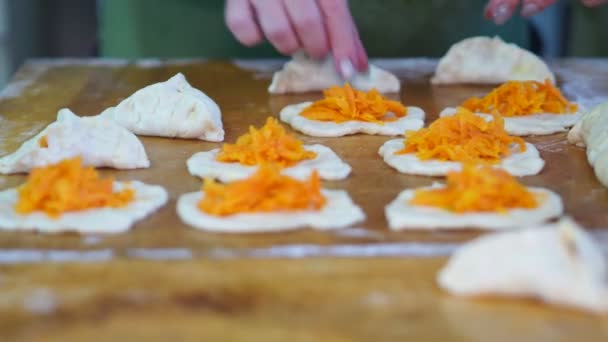 Cuisine Végétarienne Maison Plats Asiatiques Une Femme Âgée Cuisine Des — Video