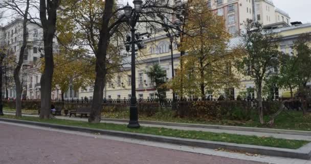 공원의 골목에 나무들은 아름다운 누르스름 잎으로 모스크바 카메라가 움직이고 있어요 — 비디오