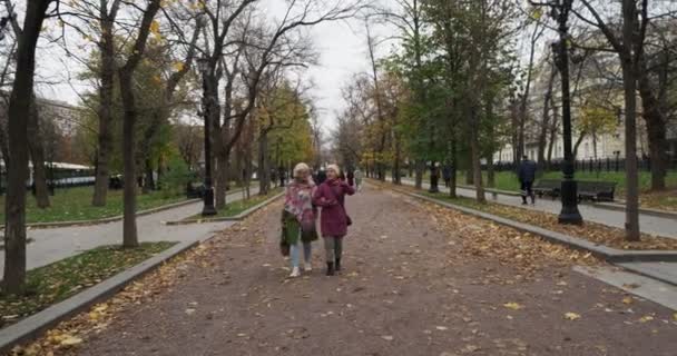 사람들은 구름낀 공원의 골목길을 걷습니다 모스크바 — 비디오
