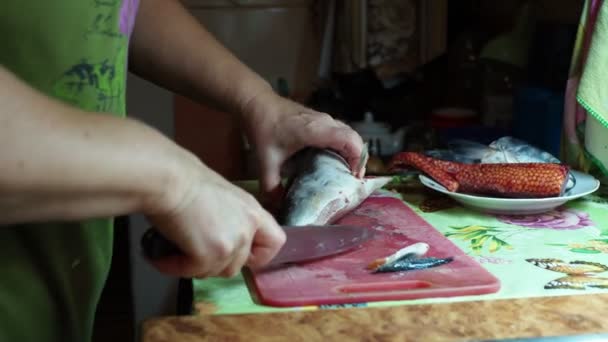 Cozinha Asiática Uma Mulher Está Matando Salmão Uma Tábua Corte — Vídeo de Stock