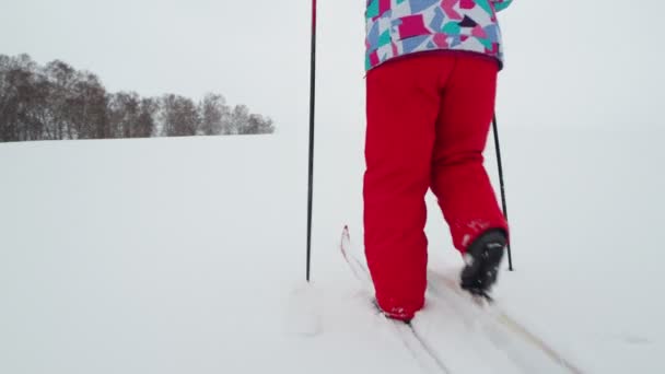 Winter Cloudy Day Woman Warm Ski Suit Skis Hill Covered — Stock Video