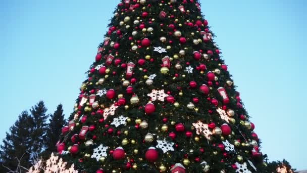 Weihnachten Städtischer Weihnachtsbaum Geschmückt Mit Weihnachtlichen Lichtern Und Girlanden Abendhimmel — Stockvideo