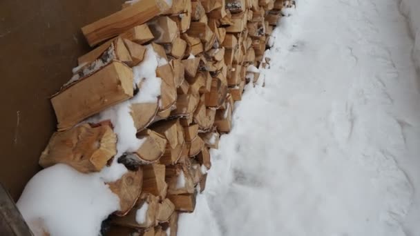 Vytápění Dřeva Zimní Sezóna Birch Palivové Dříví Sklizené Pro Vytápění — Stock video