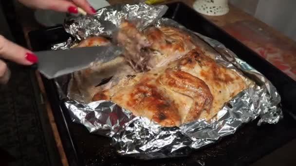 Kitchen Woman Hand Cuts Piece Chicken Baked Foil Hand Held — Vídeo de Stock