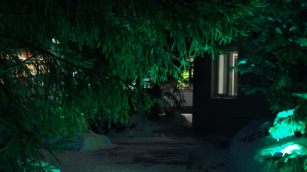 Абстракция Времена Года Сибирь Окна Дома Стоящие Среди Елок Светятся — стоковое видео