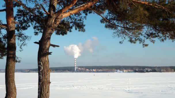 Soğuk Bir Günde Endüstriyel Sigara Içmek Kalın Duman Buzla Kaplı — Stok video