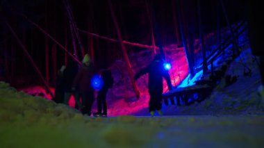 Berdsk, Rusya, Ocak, 04.2022. Tatil sezonu. Mutlu insanlar geceleri ormanda donmuş bir nehrin buzunda renkli fenerlerle süslenmiş bir vadide kayıyorlar. Sibirya.