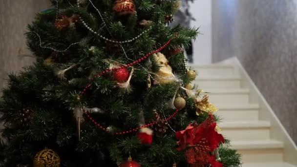 Ferienzeit Eine Katze Läuft Die Treppe Neben Einem Geschmückten Weihnachtsbaum — Stockvideo